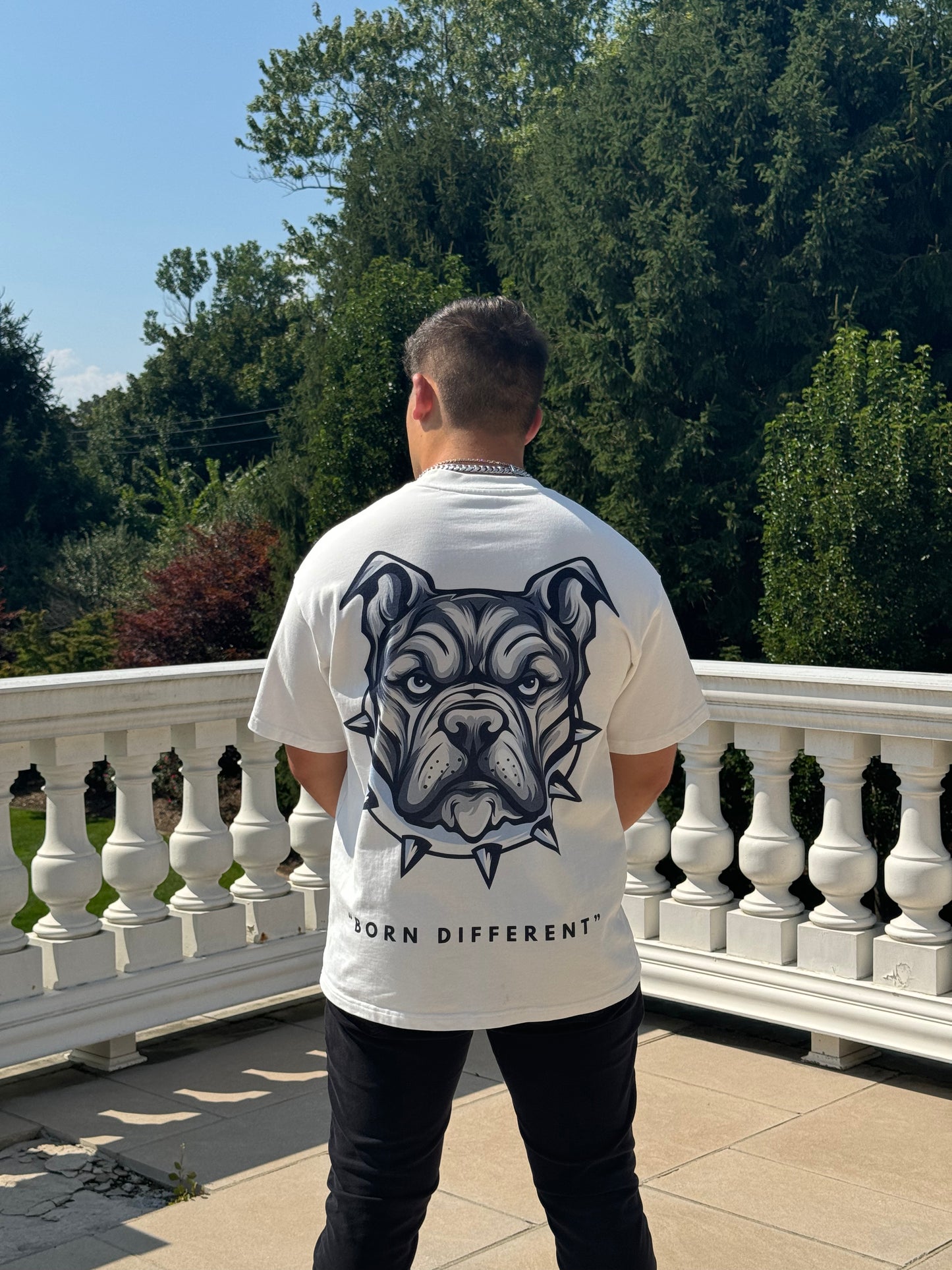 'BULL DOG' RAREBREED TEE